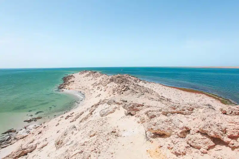 Zine El Abidine Charafeddine : “Le capital culturel local de Dakhla est immensément riche et nous voulons le montrer et le partager avec tous”(2/2) Zine El Abidine Charafeddine : “Le capital culturel local de Dakhla est immensément riche et nous voulons le montrer et le partager avec tous”(2/2)