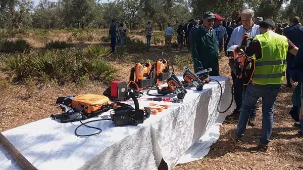 L'ANEF lance un programme de modernisation et de professionnalisation de la récolte du liège L'ANEF lance un programme de modernisation et de professionnalisation de la récolte du liège