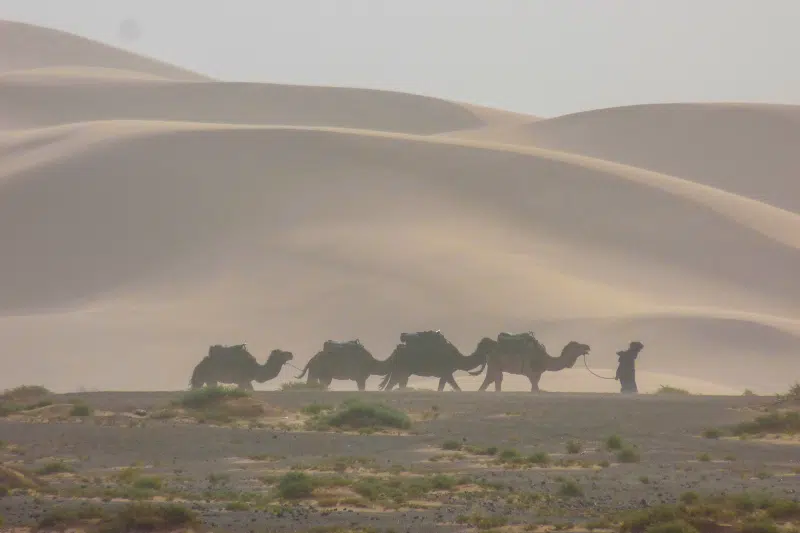 Guelmim, terre d'accueil des excursions désertiques Guelmim, terre d'accueil des excursions désertiques