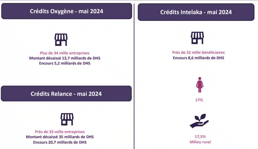 À fin mai 2024, les programmes de prêts garantis ont bénéficié à près de 99.000 entreprises (BAM) À fin mai 2024, les programmes de prêts garantis ont bénéficié à près de 99.000 entreprises (BAM)
