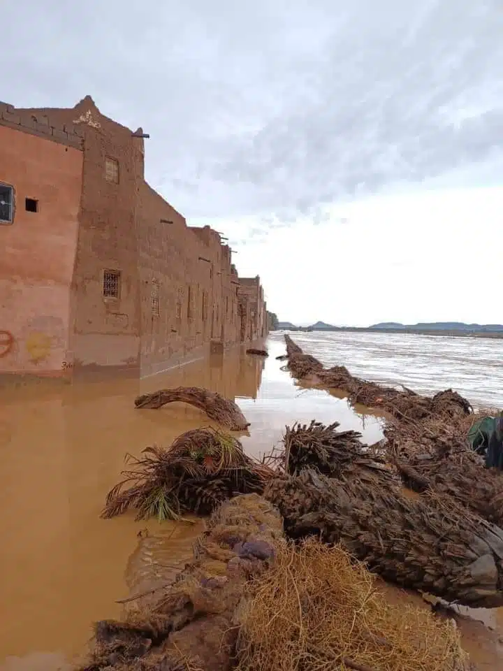 Orages et précipitations dans le Sud : vers un déplacement des phénomènes météorologiques ? Orages et précipitations dans le Sud : vers un déplacement des phénomènes météorologiques ?