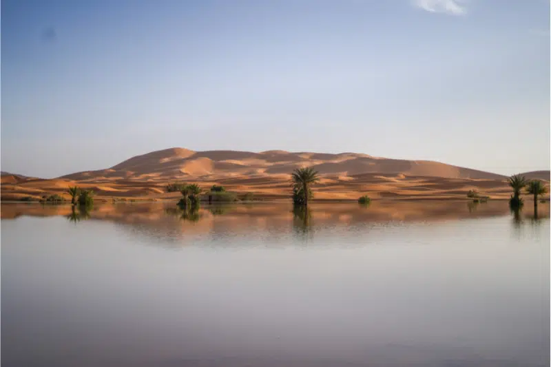 Images. Merzouga, une oasis inattendue après des pluies exceptionnelles Images. Merzouga, une oasis inattendue après des pluies exceptionnelles