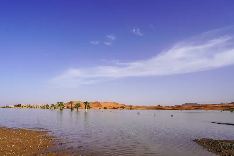 Images. Merzouga, une oasis inattendue après des pluies exceptionnelles Images. Merzouga, une oasis inattendue après des pluies exceptionnelles