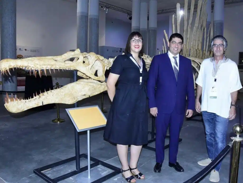 Fossiles. Serait-il possible de valoriser ce commerce au Maroc ? Fossiles. Serait-il possible de valoriser ce commerce au Maroc ?