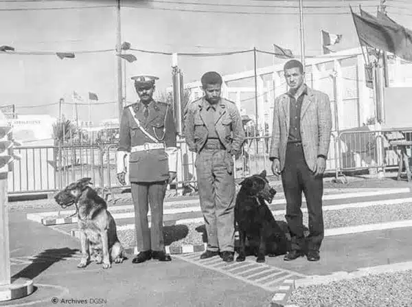 Pleins feux sur la police cynotechnique dans le dernier numéro de la Revue de Police Pleins feux sur la police cynotechnique dans le dernier numéro de la Revue de Police
