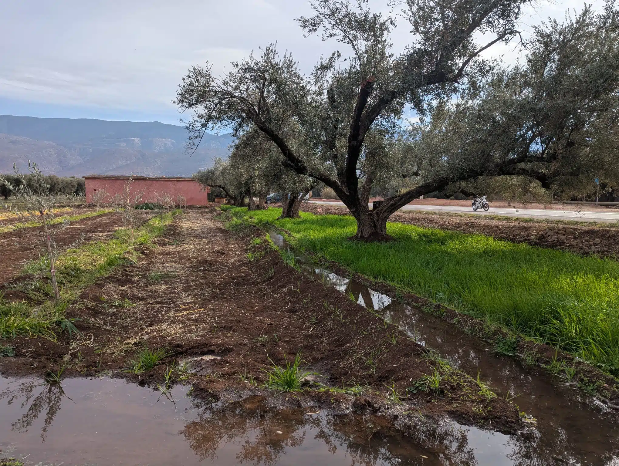 Reportage. À Afourer, les agriculteurs accusent le coup, mais ne baissent pas les bras Reportage. À Afourer, les agriculteurs accusent le coup, mais ne baissent pas les bras