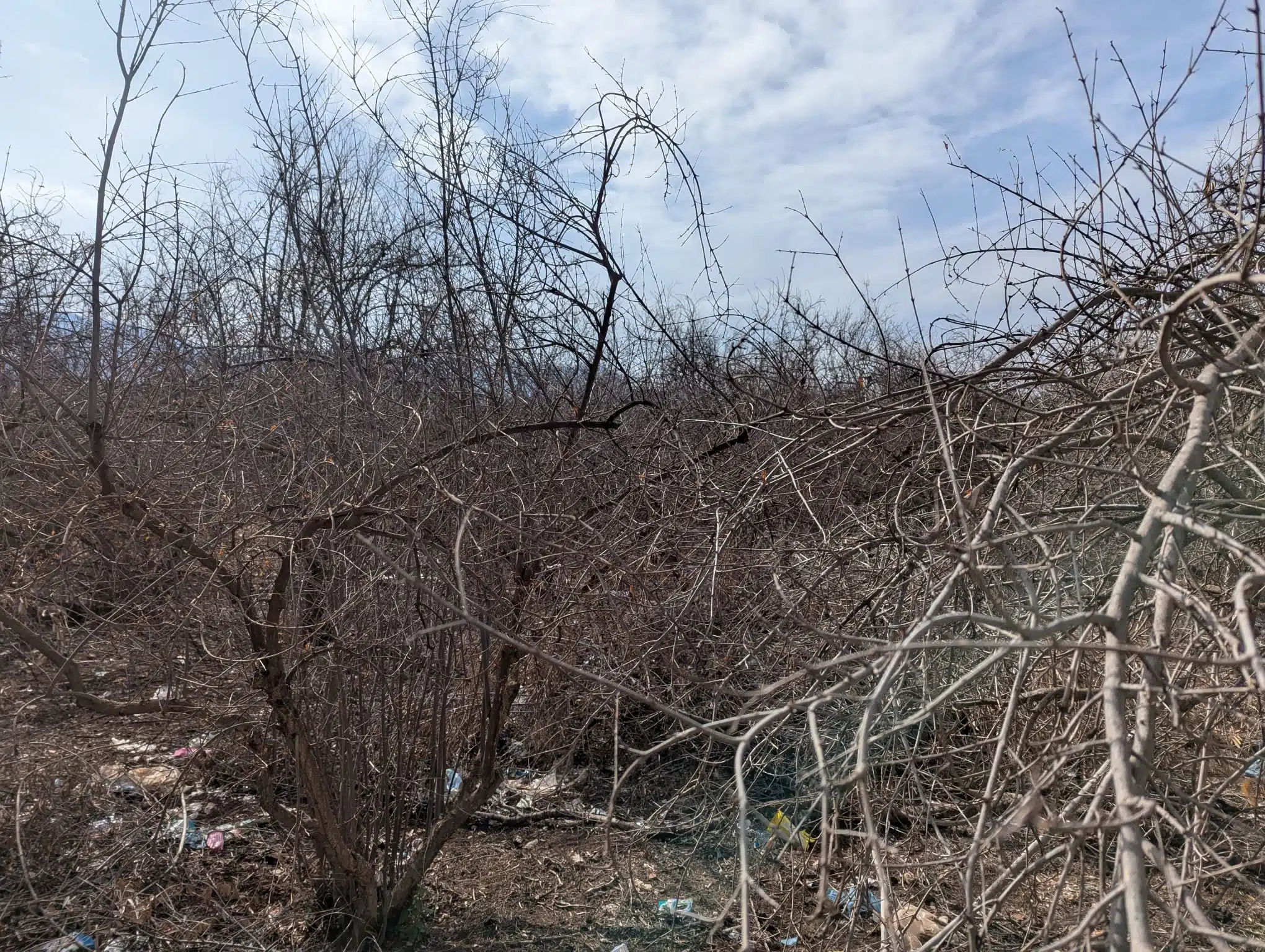 Reportage. À Afourer, les agriculteurs accusent le coup, mais ne baissent pas les bras Reportage. À Afourer, les agriculteurs accusent le coup, mais ne baissent pas les bras
