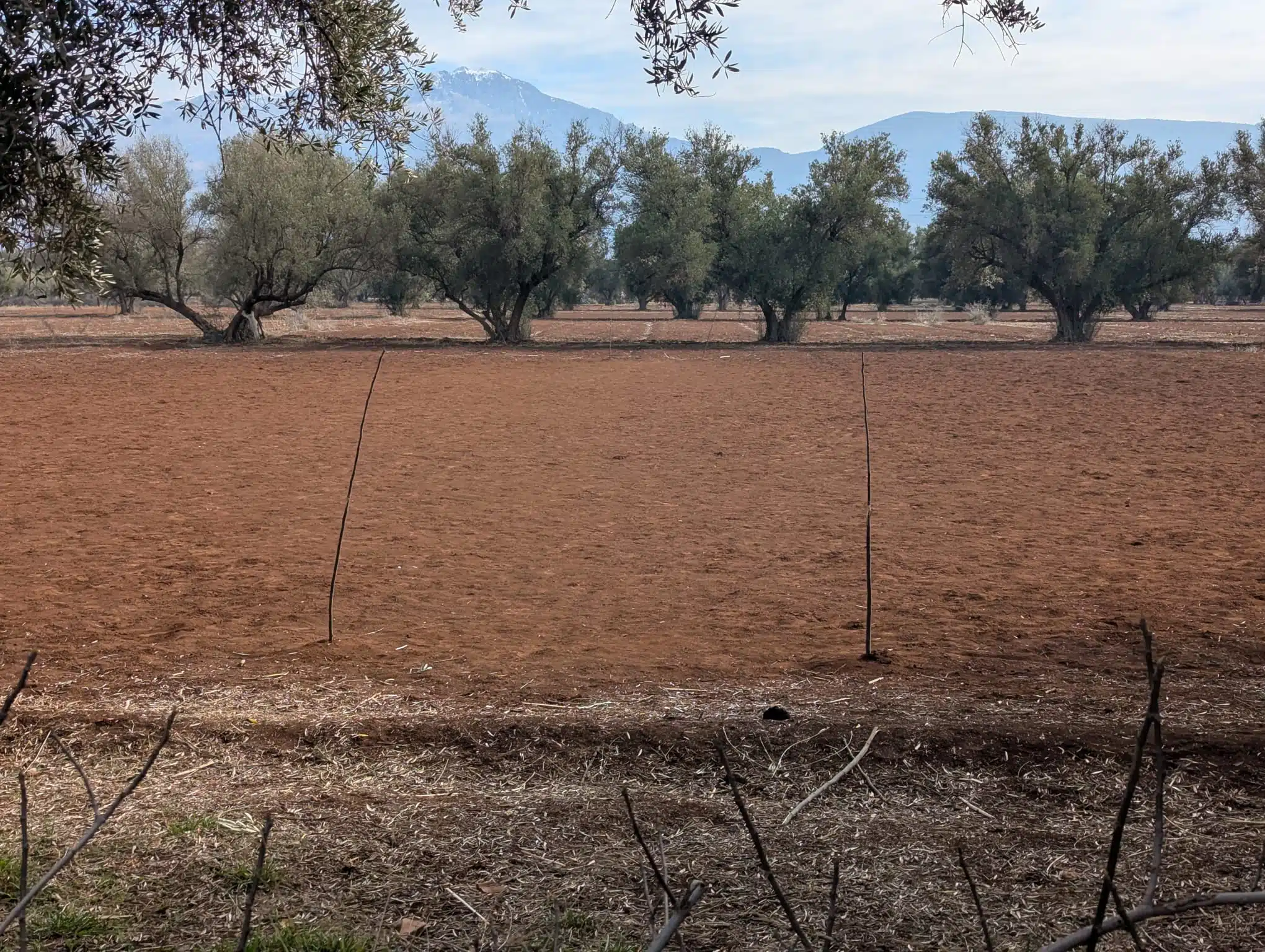 Reportage. À Afourer, les agriculteurs accusent le coup, mais ne baissent pas les bras Reportage. À Afourer, les agriculteurs accusent le coup, mais ne baissent pas les bras