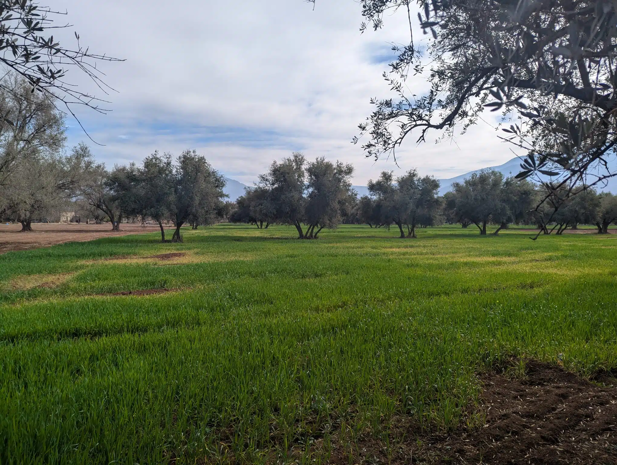 Reportage. À Afourer, les agriculteurs accusent le coup, mais ne baissent pas les bras Reportage. À Afourer, les agriculteurs accusent le coup, mais ne baissent pas les bras
