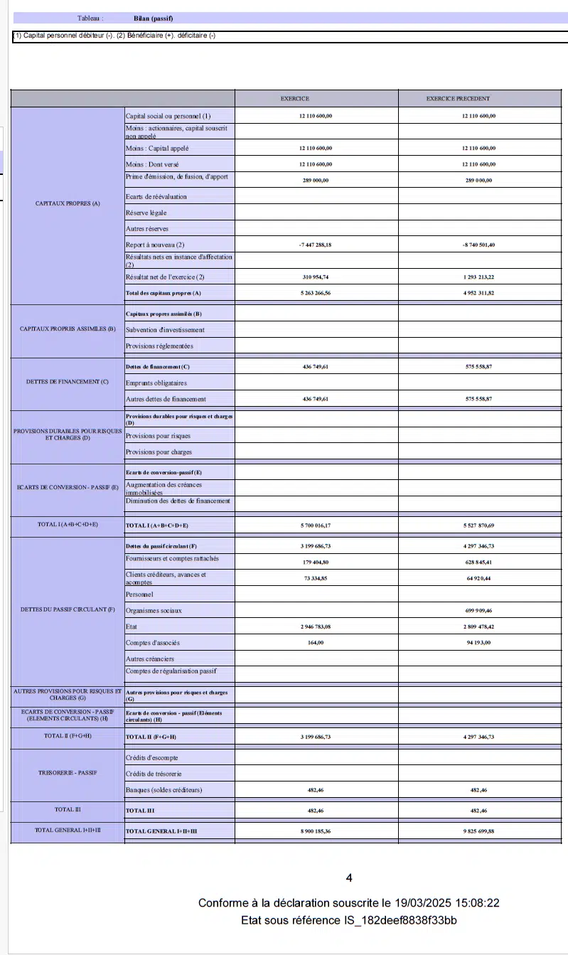 Bilan de Société Nouveaux Médias24 pour l'exercice 2024 Bilan de Société Nouveaux Médias24 pour l'exercice 2024