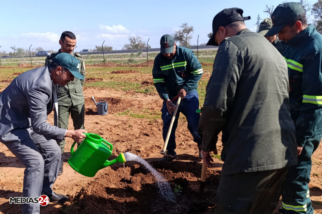 L’ANEF célèbre la journée internationale des forêts L’ANEF célèbre la journée internationale des forêts