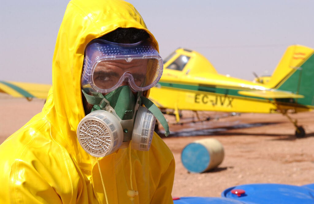 Criquets pèlerins : pas de risque imminent d’invasion au Maroc (Avis d’expert) Lutte anti acridienne