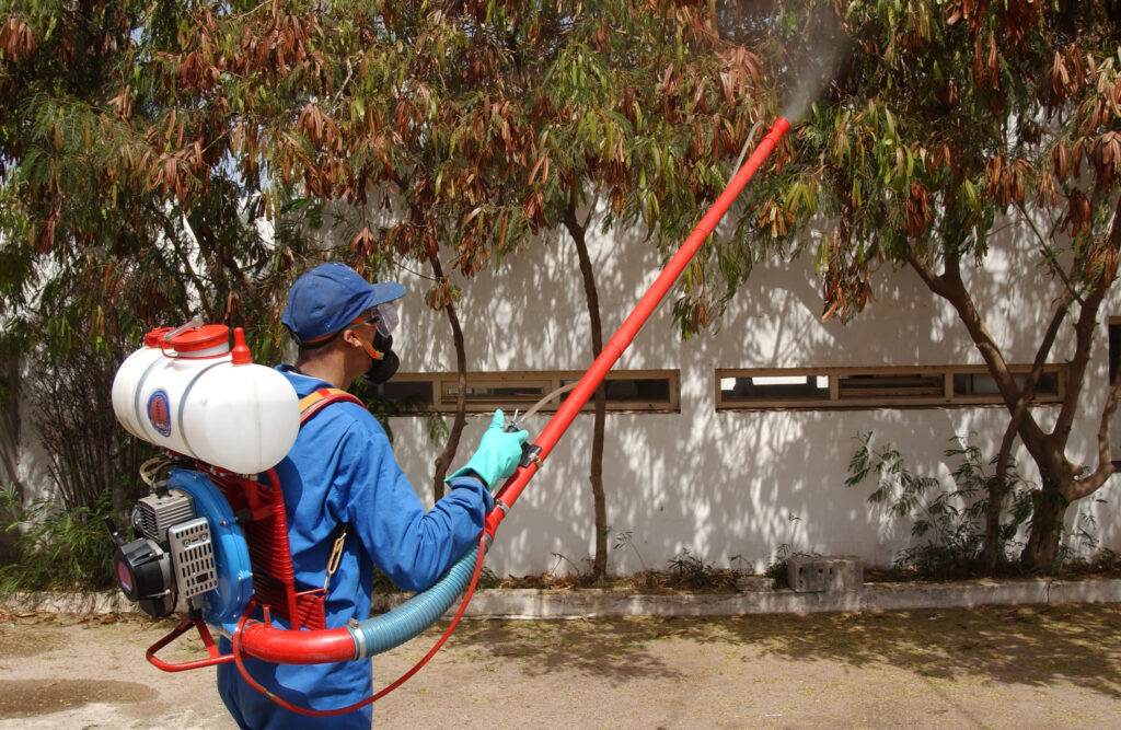 Criquets pèlerins : pas de risque imminent d’invasion au Maroc (Avis d’expert) Lutte anti acridienne