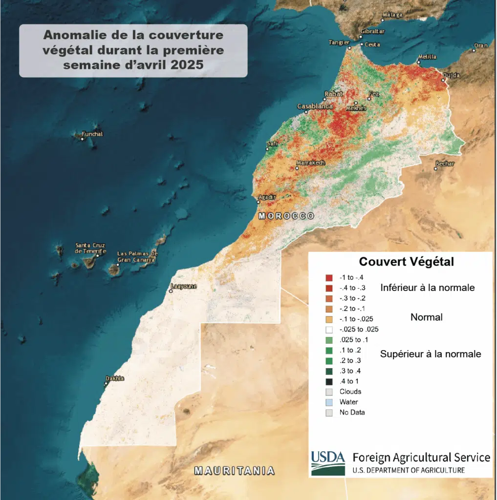 Campagne céréalière 2024-2025 : des pluies bénéfiques, mais des résultats encore limités (rapport US) Anomalie du couvert végétal 2025