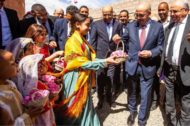 Rose à parfum : une production record, portée par une dynamique d’investissement soutenue Rose à parfum : une production record, portée par une dynamique d’investissement soutenue