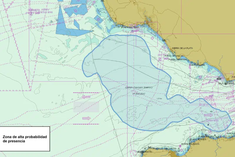 Alerte aux orques : l’Espagne déconseille aux plaisanciers de naviguer entre Cadix et Gibraltar Alerte aux orques entre Cadix et le détroit de Gibraltar