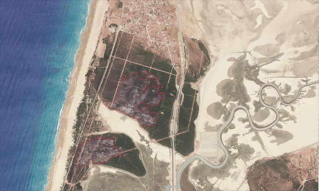 Vues du ciel, les traces du feu de forêt de Houara près de Tanger (images satellite) image satellite montrant les surfaces détruites dans la forêt de Houara après le feu de forêt qui s'est déclenché le 26 mai 2025