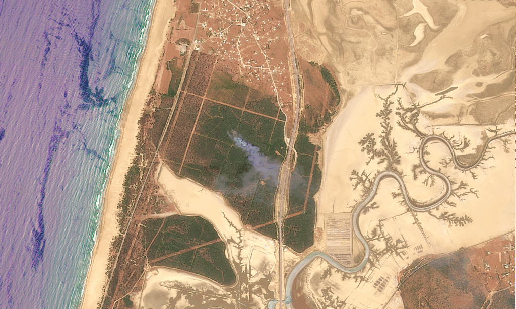 Vues du ciel, les traces du feu de forêt de Houara près de Tanger (images satellite) la forêt de Houara le jour du feu de forêt incendie qui s'est déclenché le 26 mai 2025