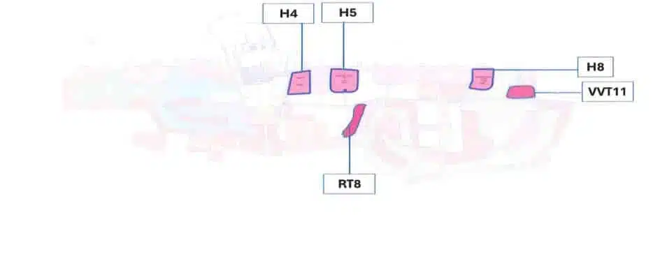 La SMIT à la recherche de développeurs de renom pour des hôtels haut de gamme à Saïdia La SMIT à la recherche de développeurs de renom pour des hôtels haut de gamme à Saïdia