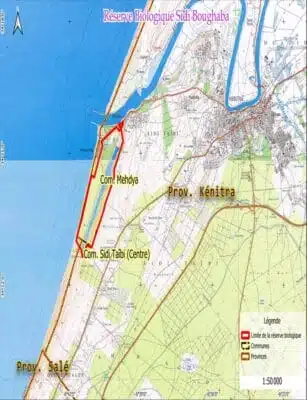 Huit nouveaux parcs et réserves naturels seront créés sur plus de 500.000 hectares Réserve biologique de Sidi Boughaba