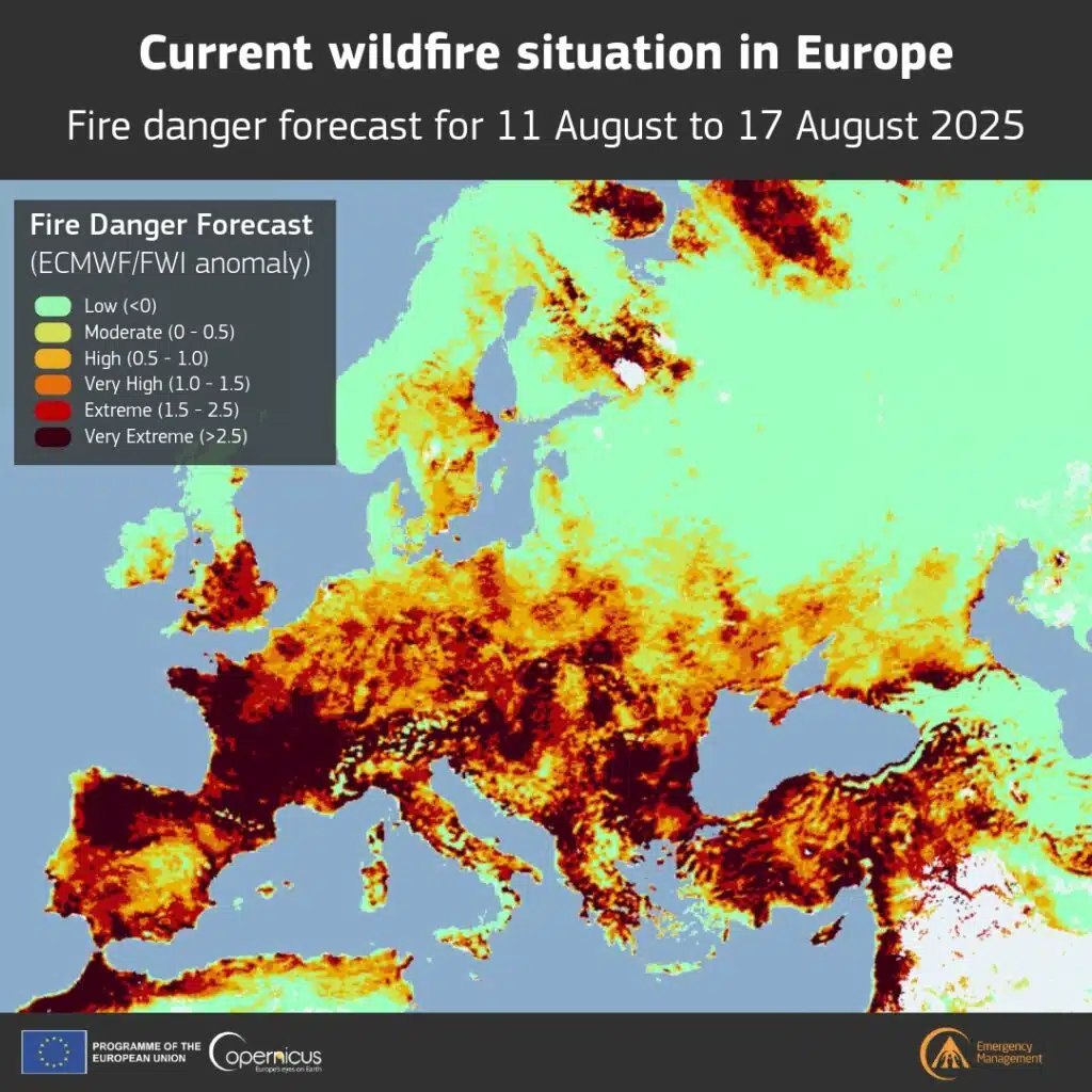 Incendies au nord du Maroc : des forêts de Tétouan et Chefchaouen en proie aux flammes Incendies au nord du Maroc : des forêts de Tétouan et Chefchaouen en proie aux flammes