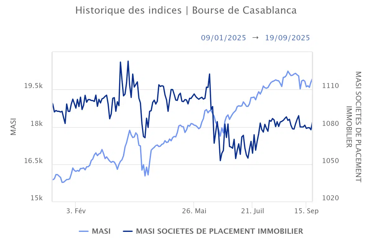 Immorente et Aradei en bourse : niveaux techniques et rendement au centre des regards Immorente et Aradei en bourse : niveaux techniques et rendement au centre des regards