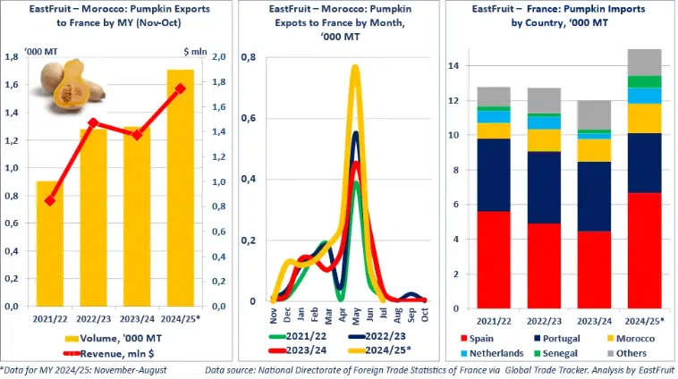 Le Maroc bat de nouveaux records d’exportation d’avocats, de citrouilles et de bleuets en 2025 Le Maroc bat de nouveaux records d’exportation d’avocats, de citrouilles et de bleuets en 2025