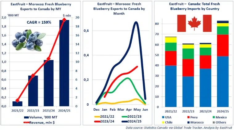 Le Maroc bat de nouveaux records d’exportation d’avocats, de citrouilles et de bleuets en 2025 Le Maroc bat de nouveaux records d’exportation d’avocats, de citrouilles et de bleuets en 2025