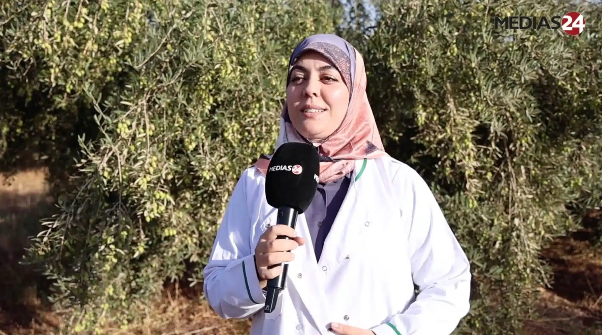 “Des oliviers productifs en trois ans, c'est un atout majeur”, Kaoutar El Fazazi (INRA) (3/3) Kaoutar El Fazazi de l’INRA présentant des variétés d’oliviers Mechket et Tassaoute