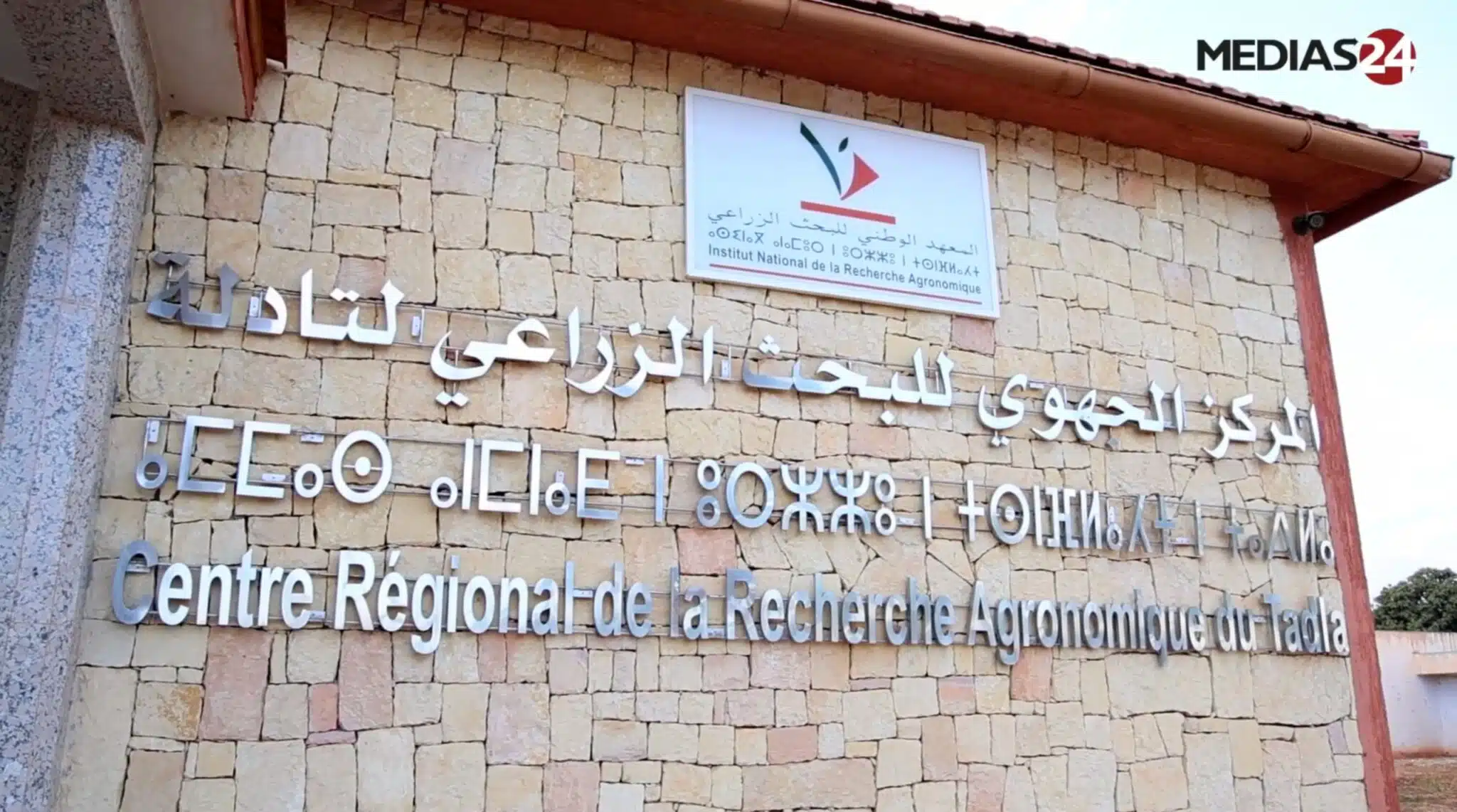 “Des oliviers productifs en trois ans, c'est un atout majeur”, Kaoutar El Fazazi (INRA) (3/3) “Des oliviers productifs en trois ans, c'est un atout majeur”, Kaoutar El Fazazi (INRA) (3/3)