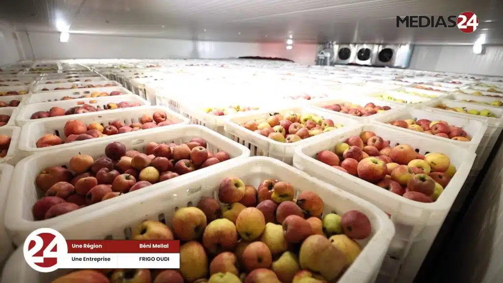 Frigo Oudi, un levier de développement agricole au cœur de Béni Mellal frigo oudi Tamwilcom
