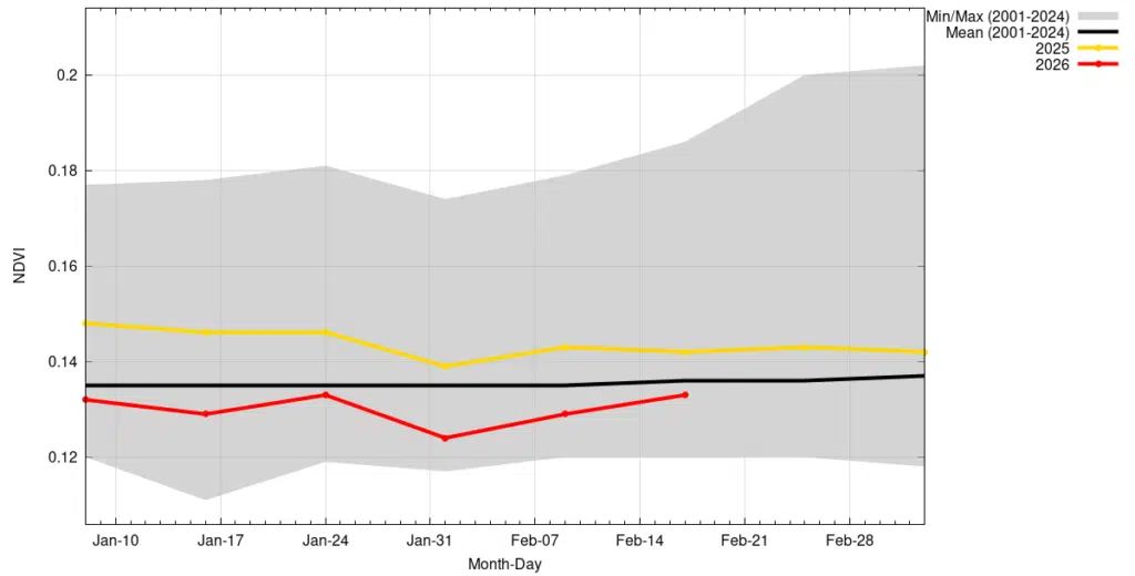 Terres de parcours : le retour spectaculaire du couvert végétal relance l’activité pastorale Terres de parcours : le retour spectaculaire du couvert végétal relance l’activité pastorale