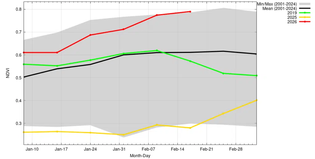 Terres de parcours : le retour spectaculaire du couvert végétal relance l’activité pastorale Terres de parcours : le retour spectaculaire du couvert végétal relance l’activité pastorale
