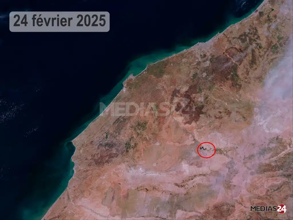 Terres de parcours : le retour spectaculaire du couvert végétal relance l’activité pastorale Terres de parcours : le retour spectaculaire du couvert végétal relance l’activité pastorale
