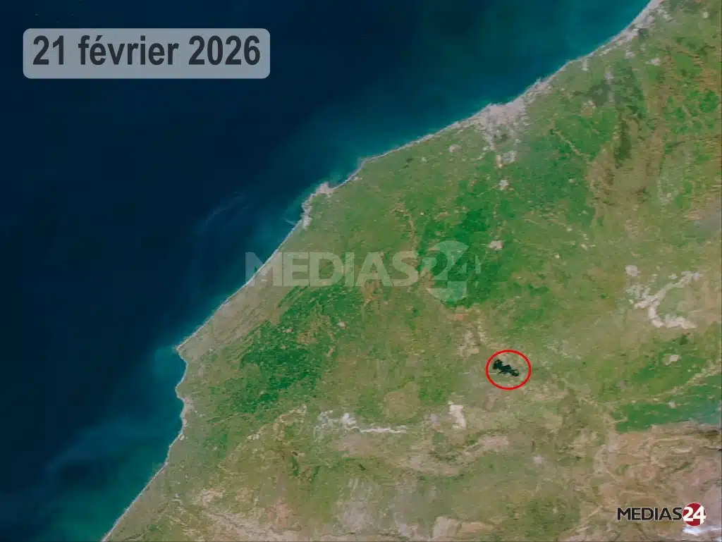 Terres de parcours : le retour spectaculaire du couvert végétal relance l’activité pastorale Terres de parcours : le retour spectaculaire du couvert végétal relance l’activité pastorale