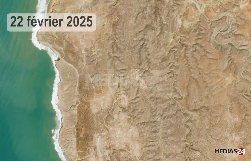Terres de parcours : le retour spectaculaire du couvert végétal relance l’activité pastorale 2024