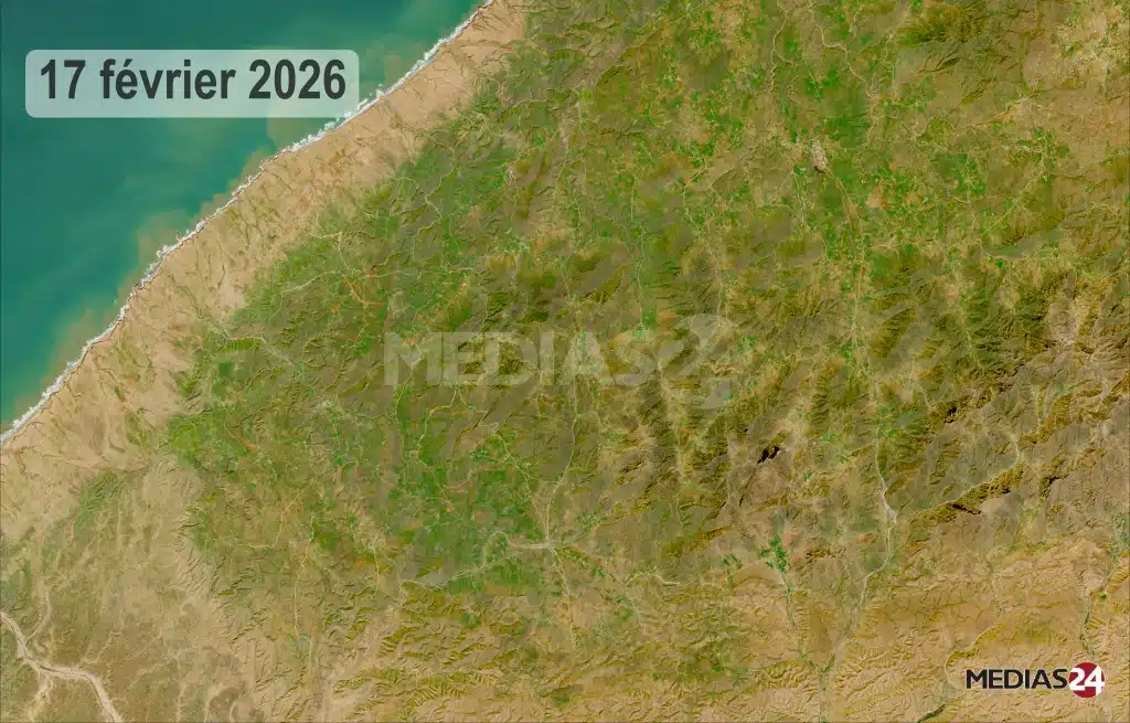 Terres de parcours : le retour spectaculaire du couvert végétal relance l’activité pastorale 2024