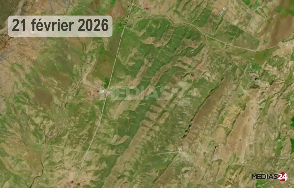 Terres de parcours : le retour spectaculaire du couvert végétal relance l’activité pastorale 2024