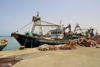 PHIASUD : après vingt ans de bras de fer avec les Slimani, l'Omnium marocain de pêche quitte la gouvernance