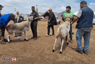 Rétrospective. Ces années où les Marocains ont été invités à s’abstenir du rituel du sacrifice de Aïd al-Adha