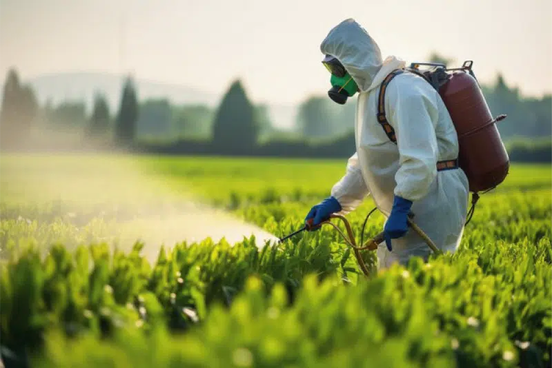 461 produits phytosanitaires interdits d'usage au Maroc depuis 2018