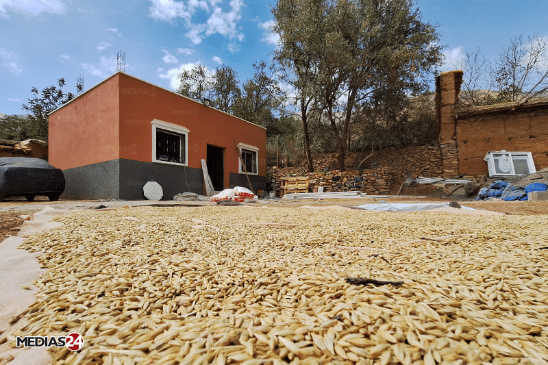 Reportage. La commune d’Ouneine à Taroudant, un an après le séisme du 8 septembre