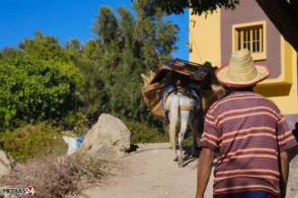 Pour une analyse géographique des catastrophes : le cas du séisme du 8 septembre au Maroc (David Goeury)