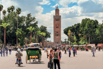 Hicham Mhammedi Alaoui (CNT) : &ldquo;octobre sera un mois décisif pour le tourisme&rdquo;