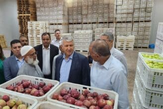 Dégâts agricoles du séisme : l’éclairage de Mohammed Sadiki