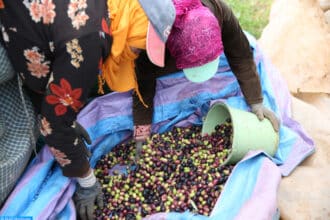 Offre de travail. Comment les aides sociales redessinent le marché des emplois précaires