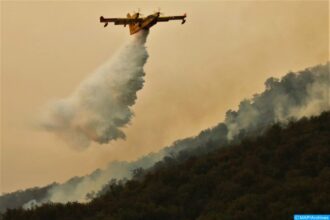 Plus de 6 Ha de palmiers ravagés par les flammes à Chtouka-Aït-Baha