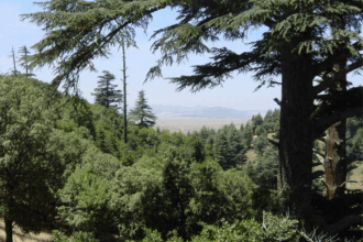 Parcs nationaux. Comment le Maroc compte proposer une offre écotouristique attrayante