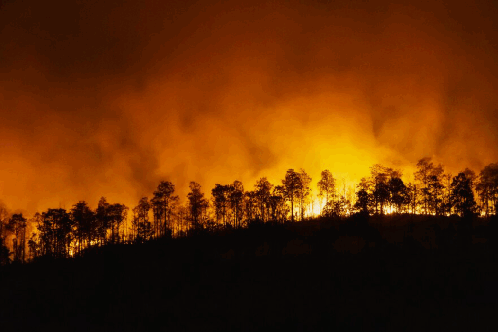 Risques d'incendies de forêt dans plusieurs provinces au Maroc (liste)