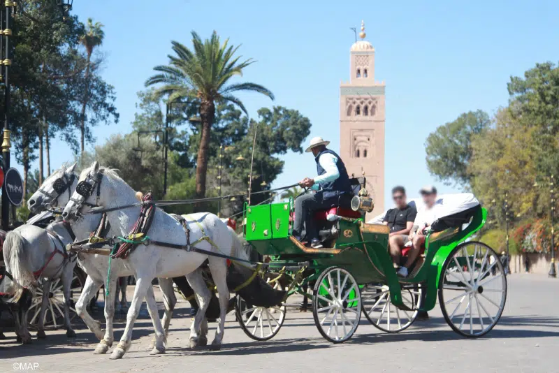 Fêtes de fin d'année : Marrakech bat son plein, come-back en force d'Agadir